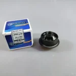 بوش تعادل تیبا ریو